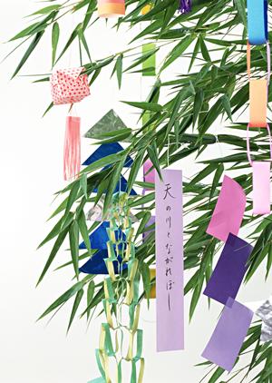 ガチャガチャの森:子供から大人まで楽しめる多彩なガチャ体験を提供する専門店