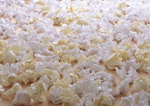 オリジナル缶バッジを注文したい人へ