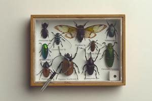 リサイクルジュエリーを取り扱う店