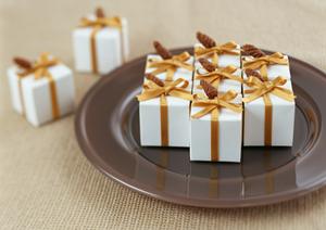 多肉植物の購入は専門店がおすすめ